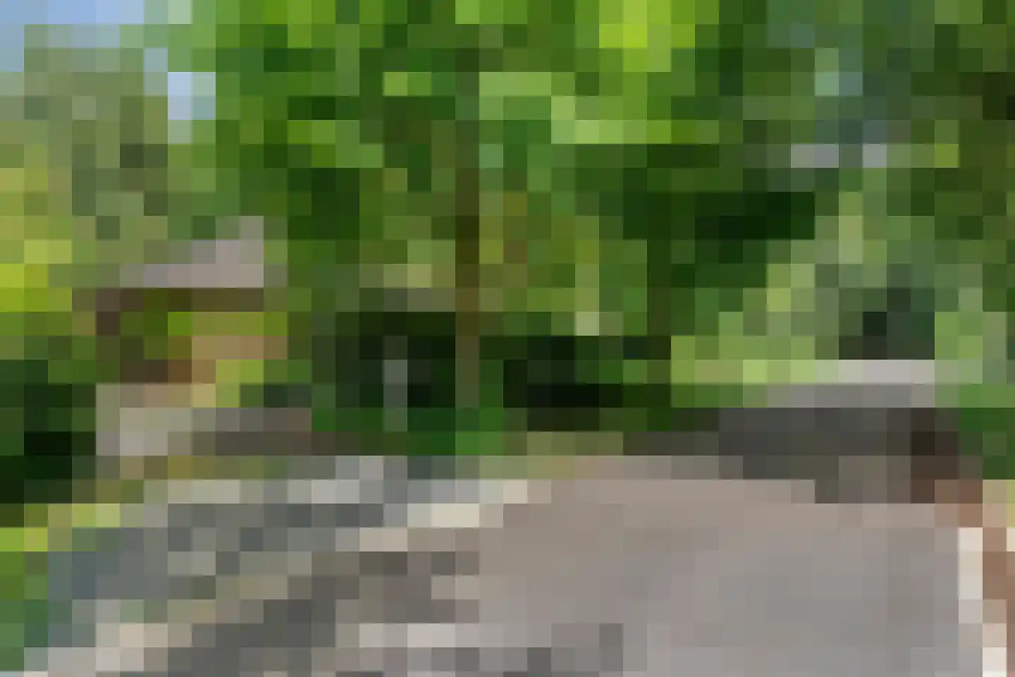 Titanialaan 5 Diever thumbnail 45