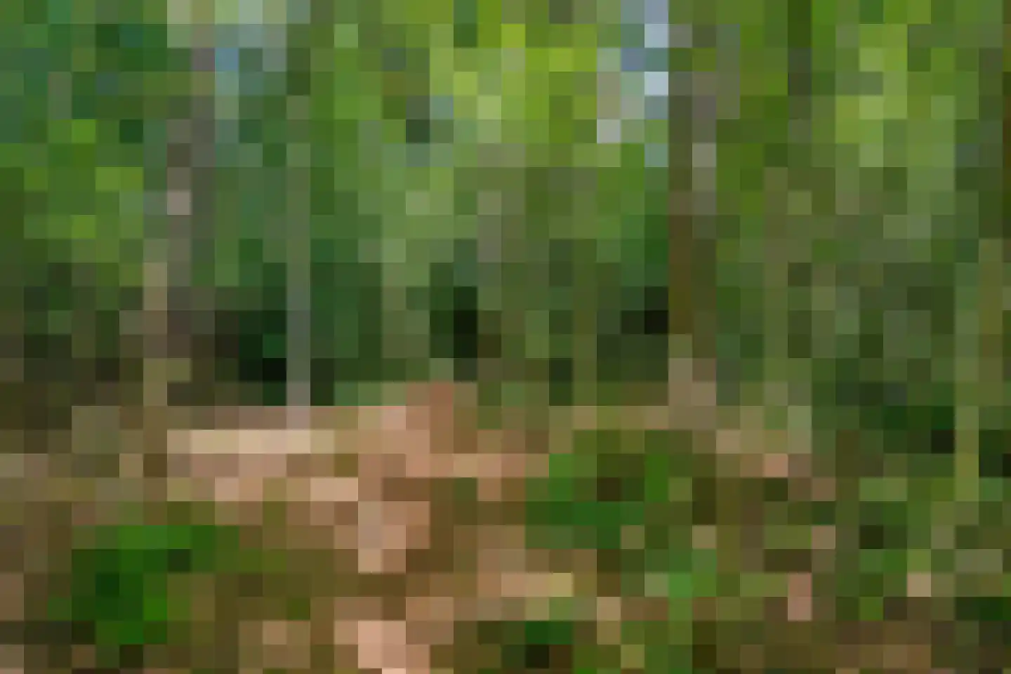 Titanialaan 5 Diever thumbnail 46