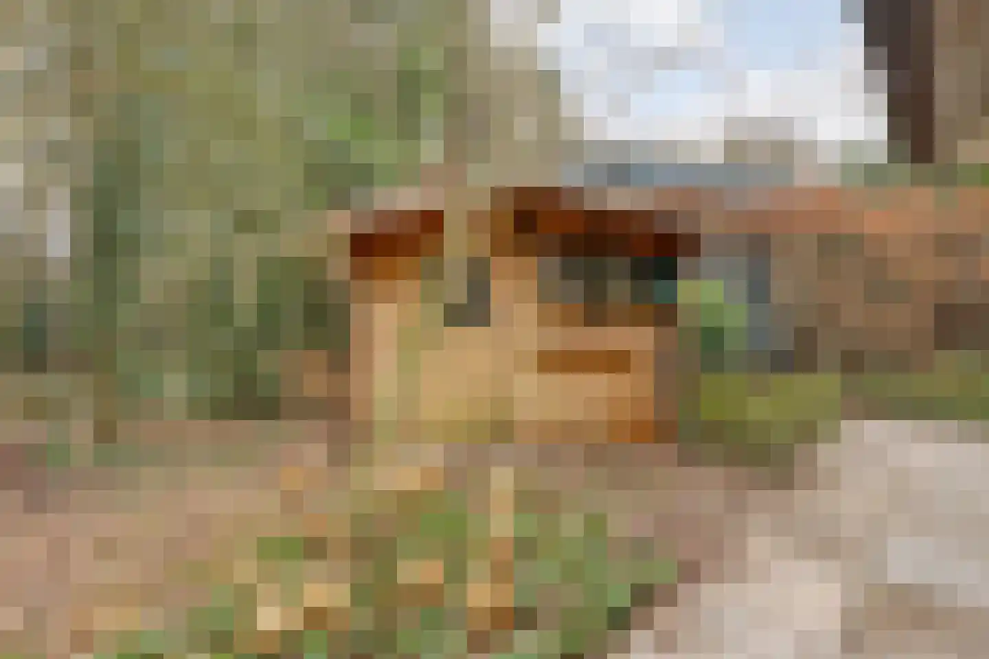 Titanialaan 5 Diever thumbnail 49