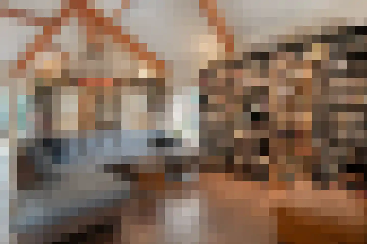 Titanialaan 5 Diever thumbnail 5