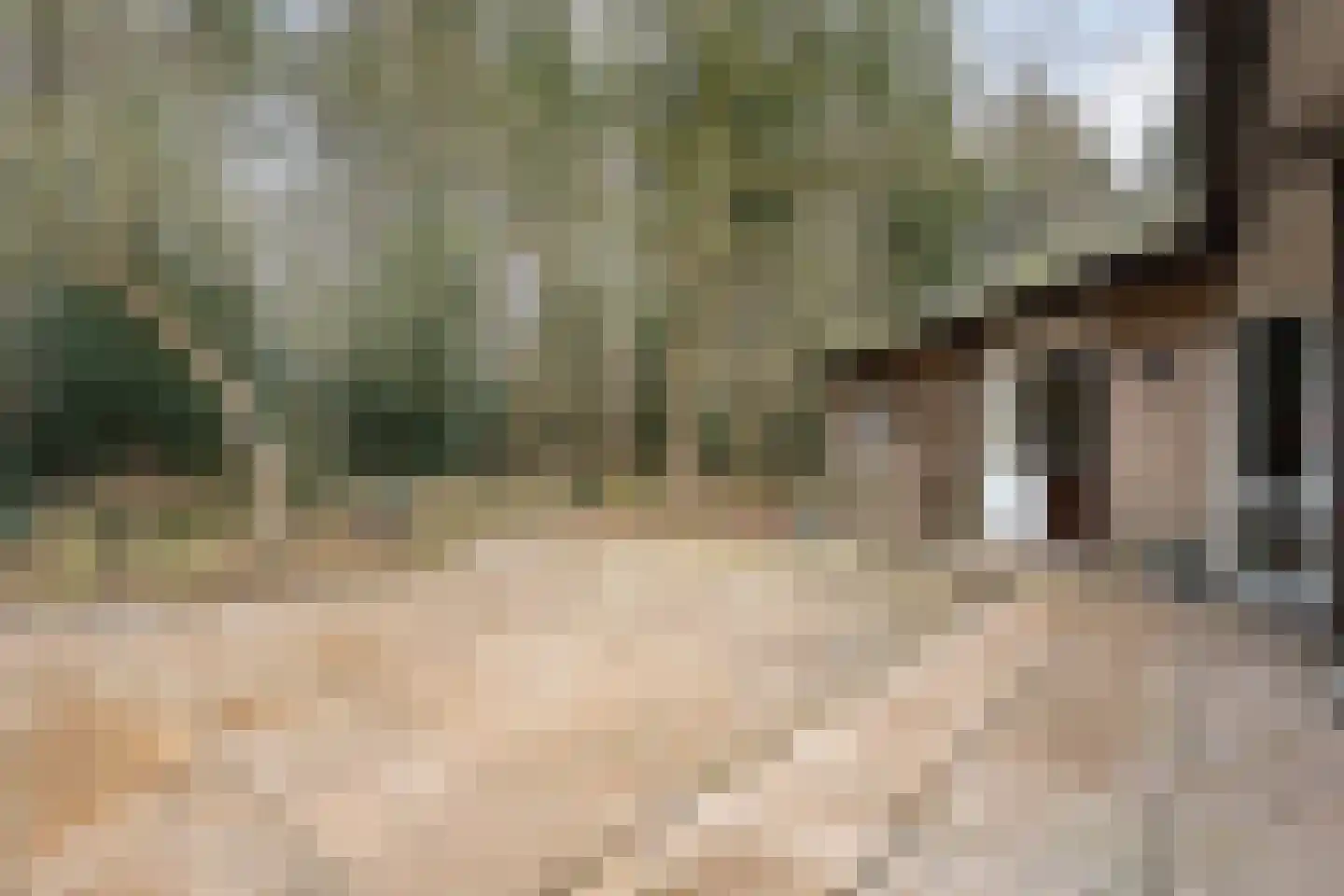 Titanialaan 5 Diever thumbnail 50