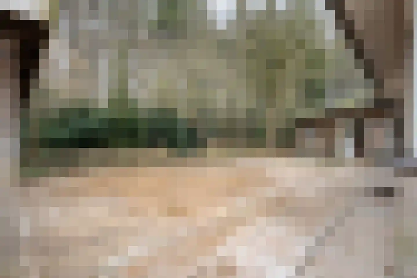 Titanialaan 5 Diever thumbnail 51