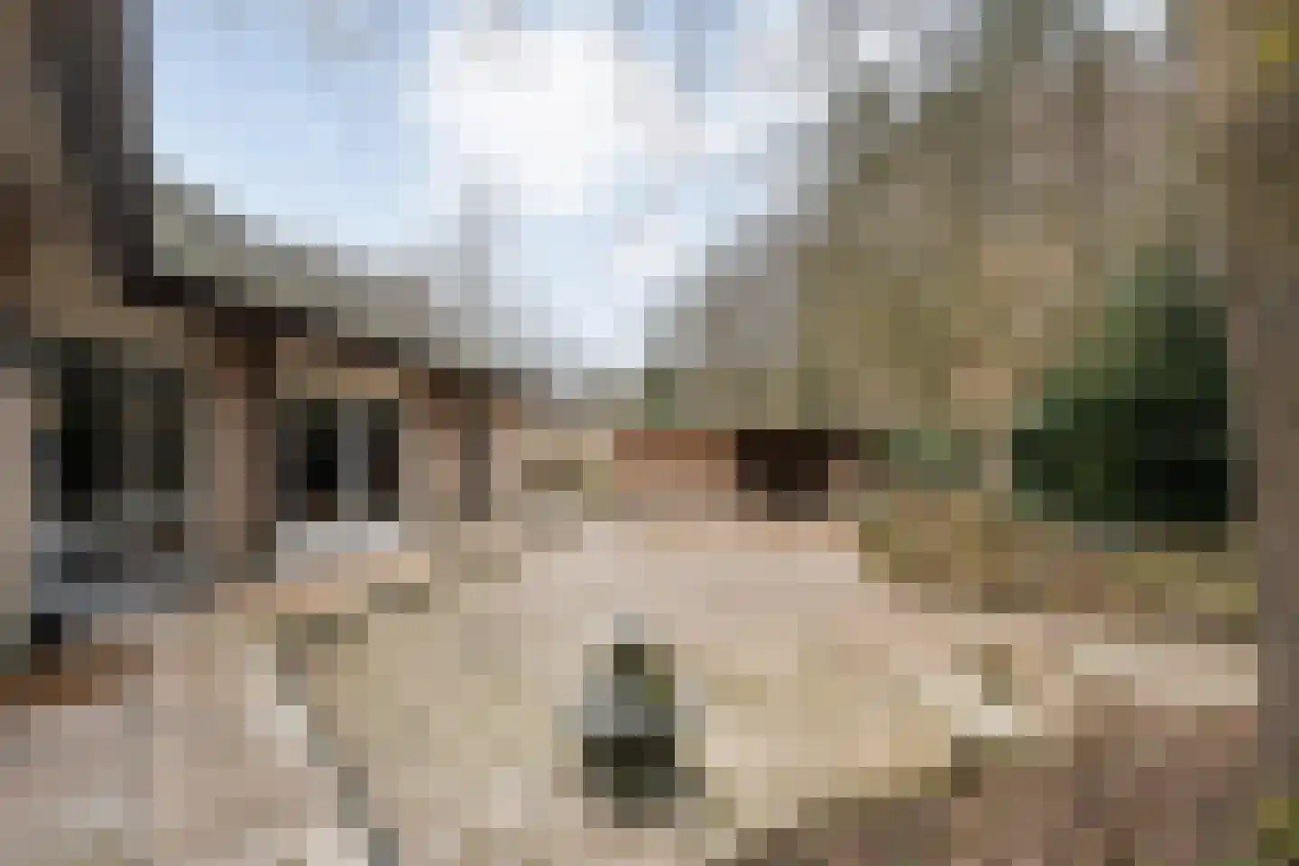 Titanialaan 5 Diever thumbnail 52