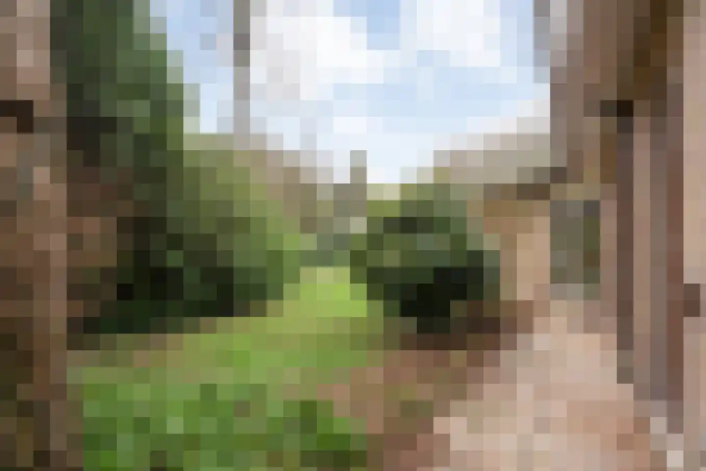 Titanialaan 5 Diever thumbnail 55