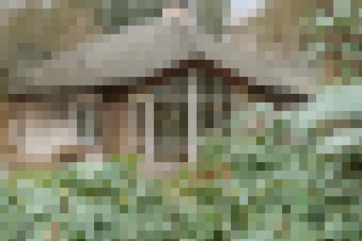 Titanialaan 5 Diever thumbnail 58