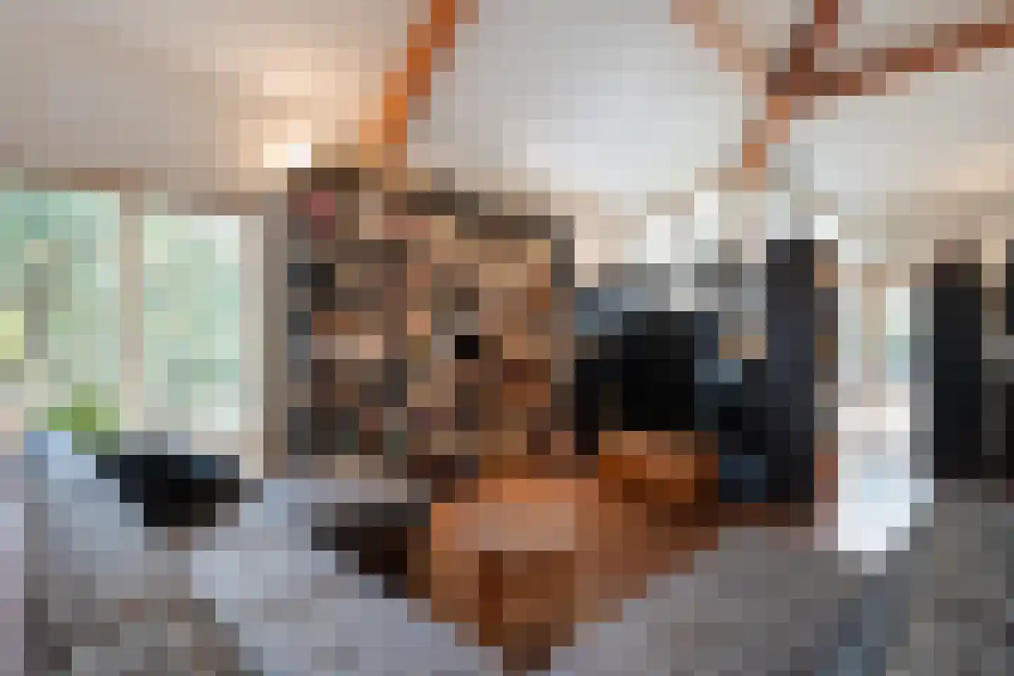Titanialaan 5 Diever thumbnail 6