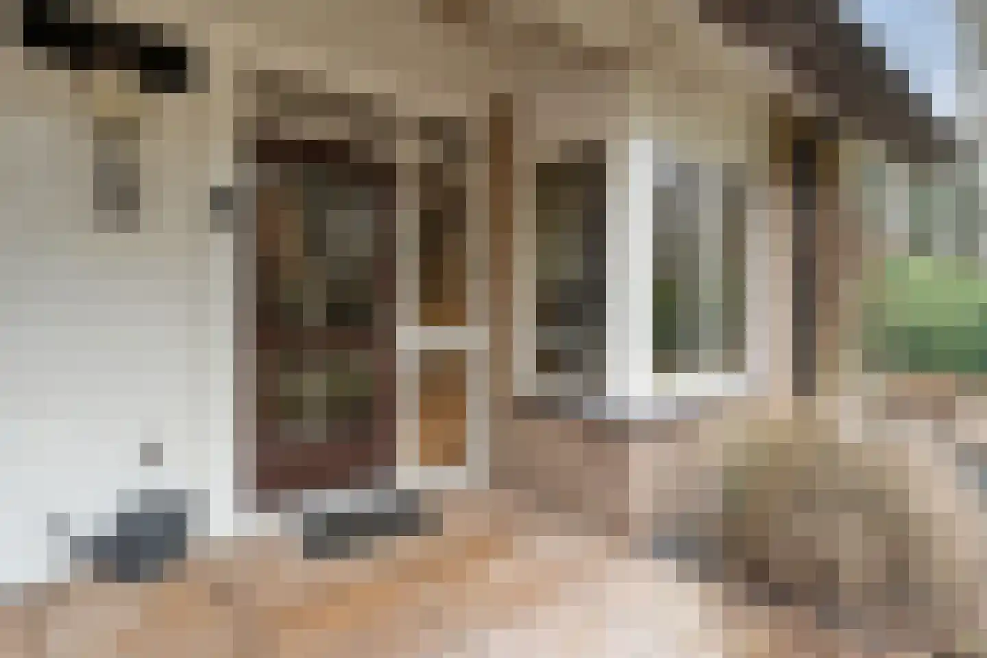 Titanialaan 5 Diever thumbnail 60