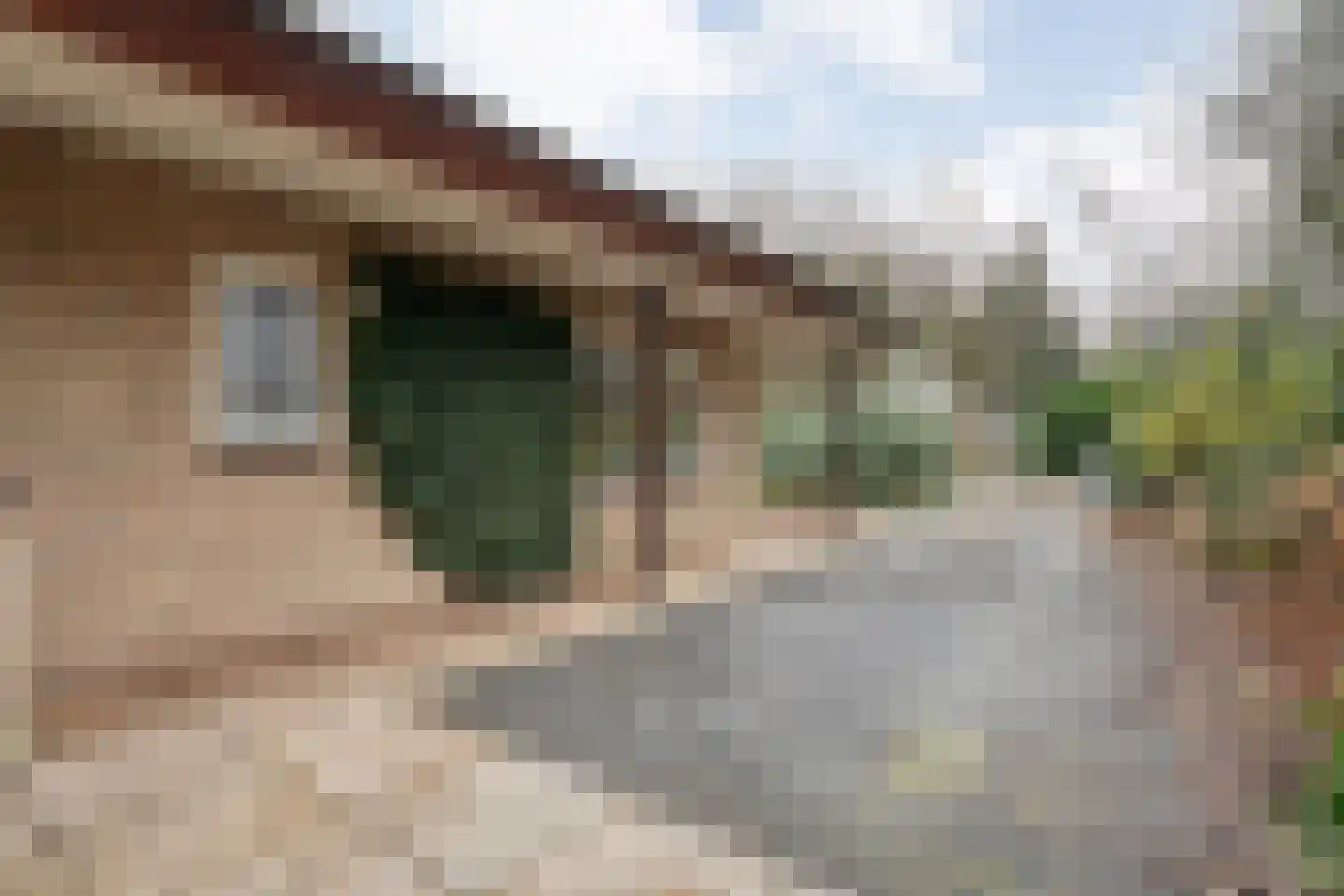Titanialaan 5 Diever thumbnail 61