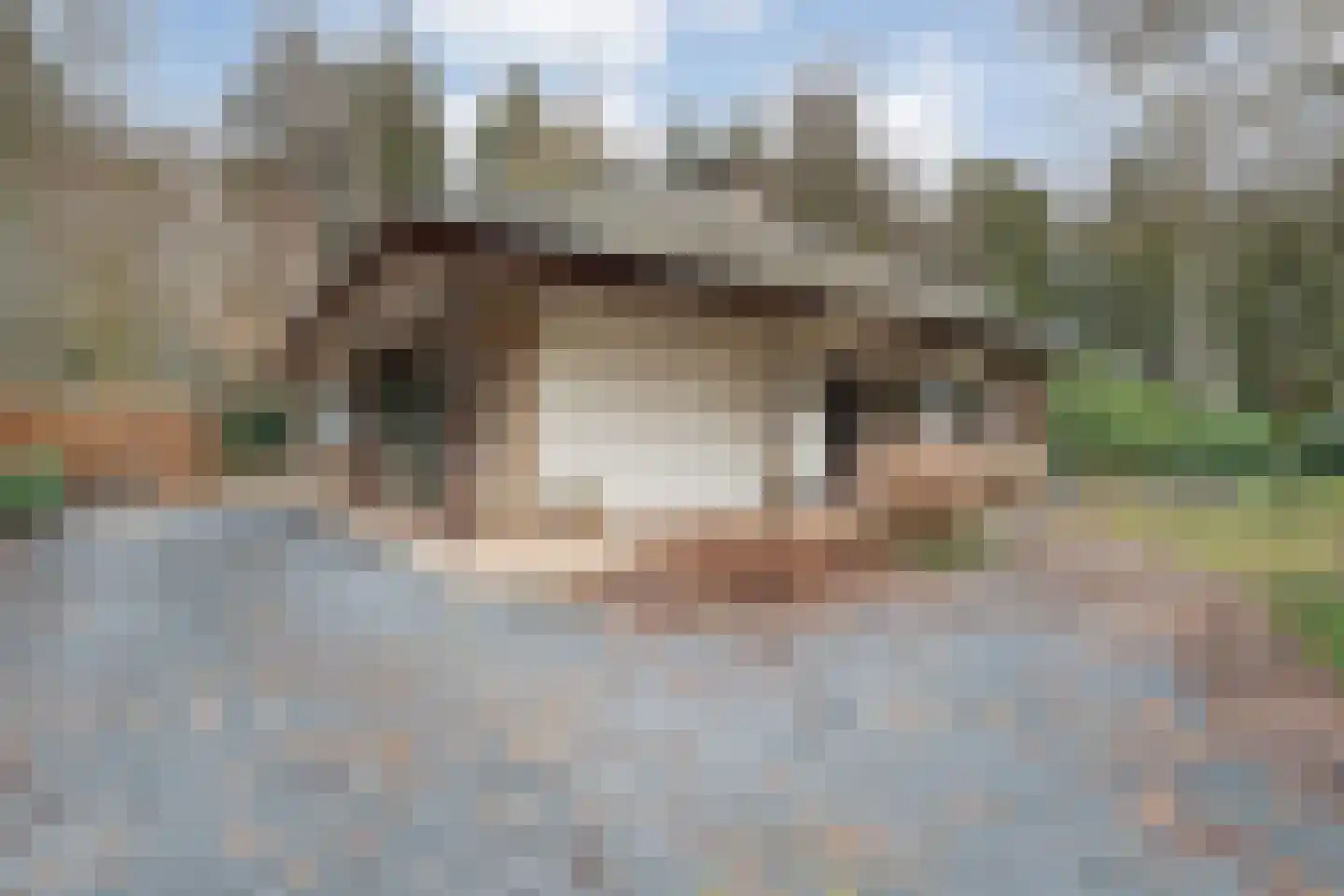Titanialaan 5 Diever thumbnail 62