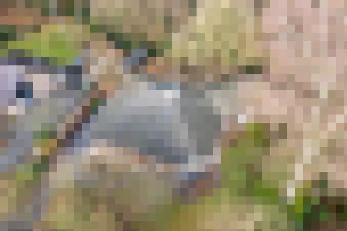 Titanialaan 5 Diever thumbnail 65