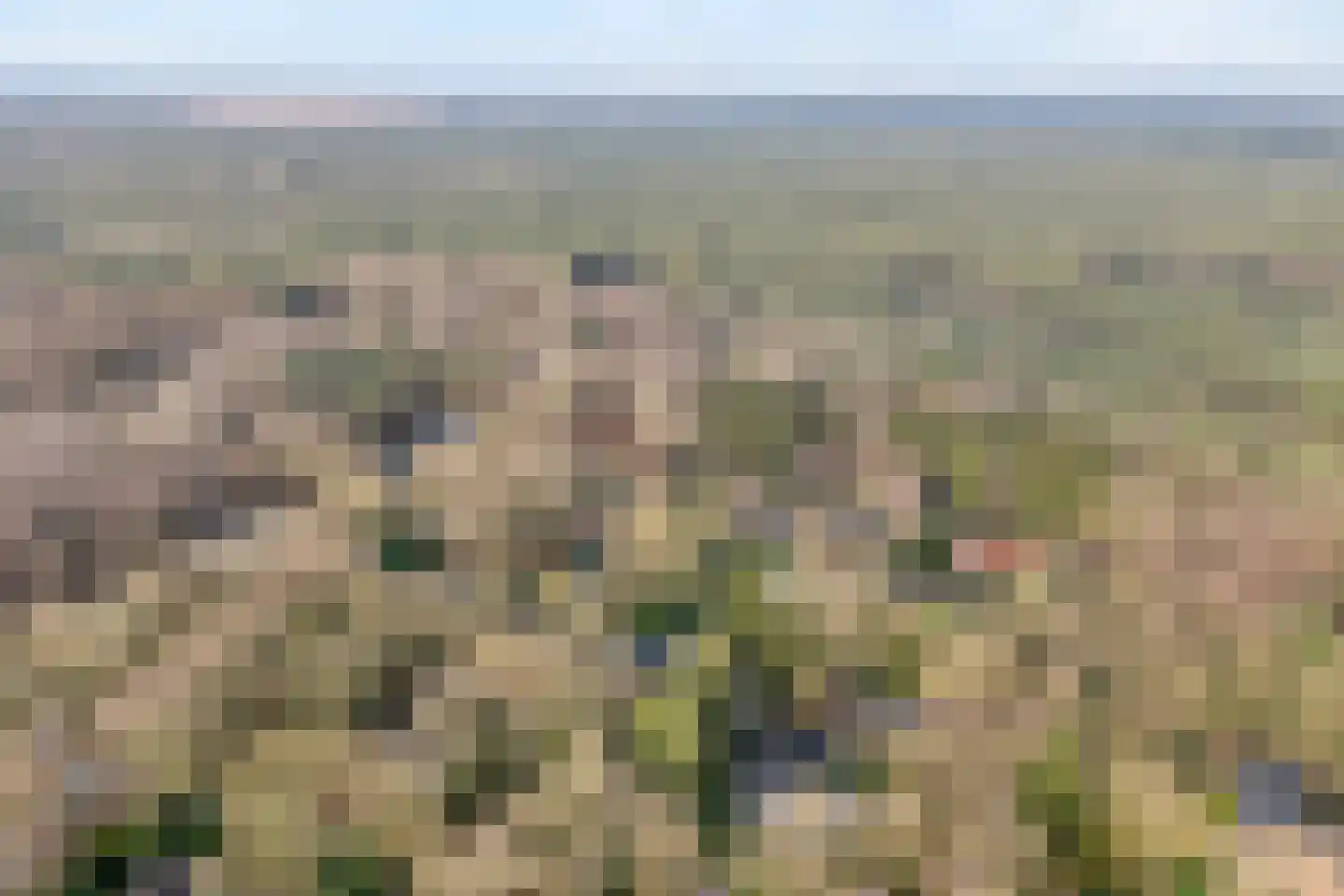 Titanialaan 5 Diever thumbnail 66