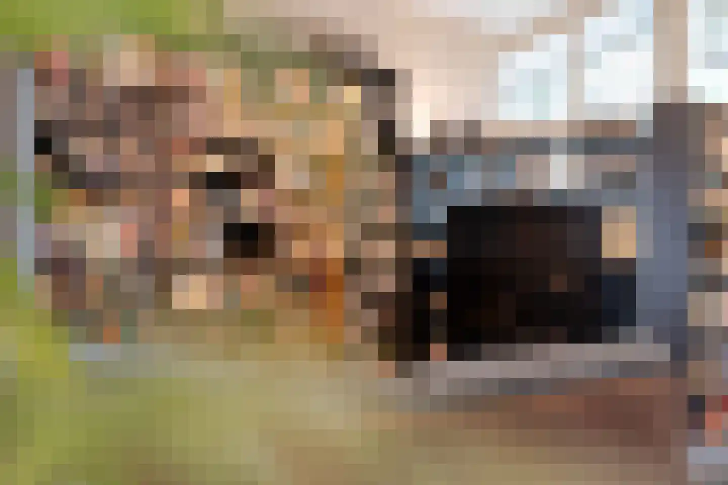 Titanialaan 5 Diever thumbnail 7