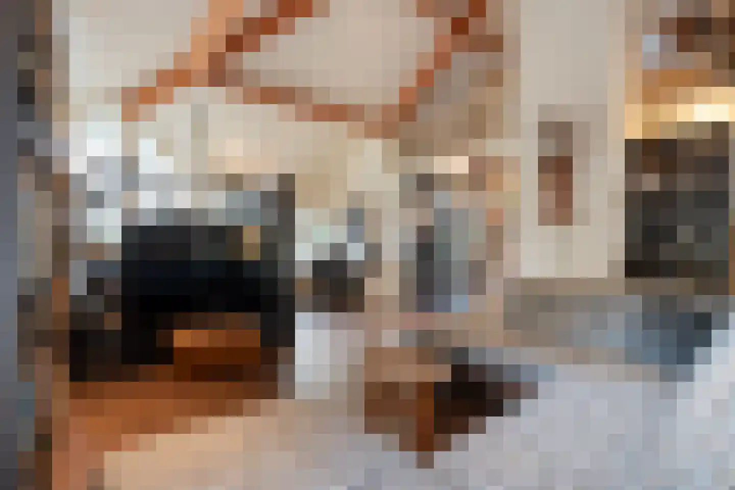 Titanialaan 5 Diever thumbnail 8