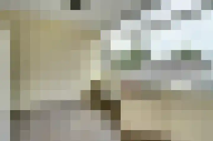 Titaniastraat 10 Helmond thumbnail 14