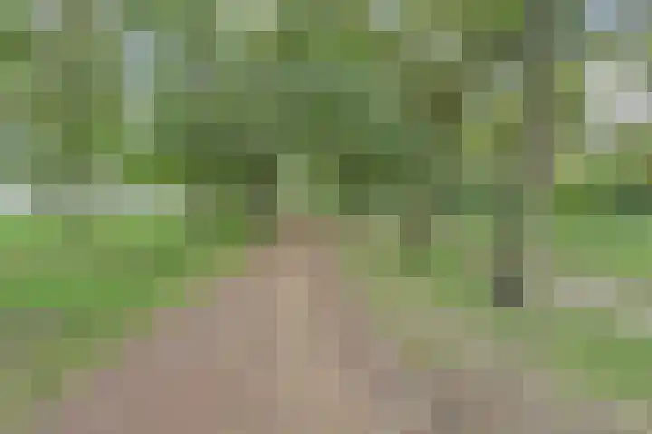 Titaniastraat 10 Helmond thumbnail 36