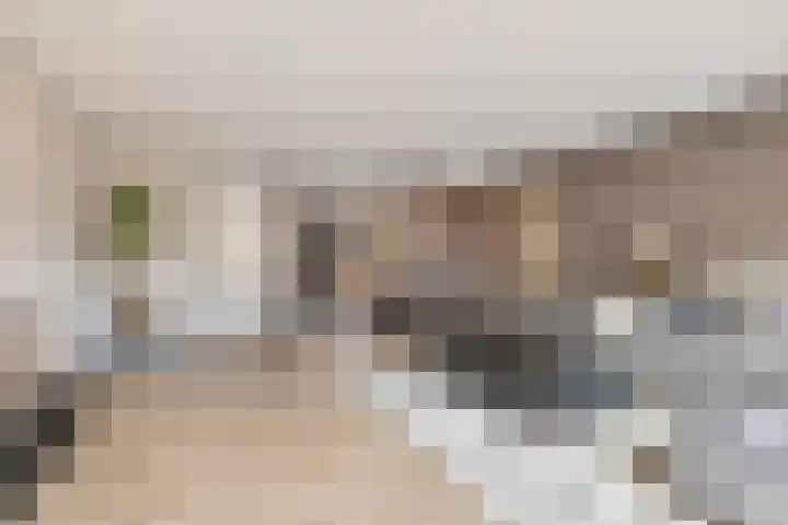 Titanium 4 Arnhem thumbnail 12