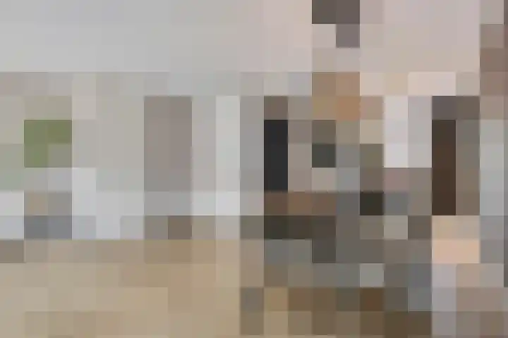 Titanium 4 Arnhem thumbnail 15