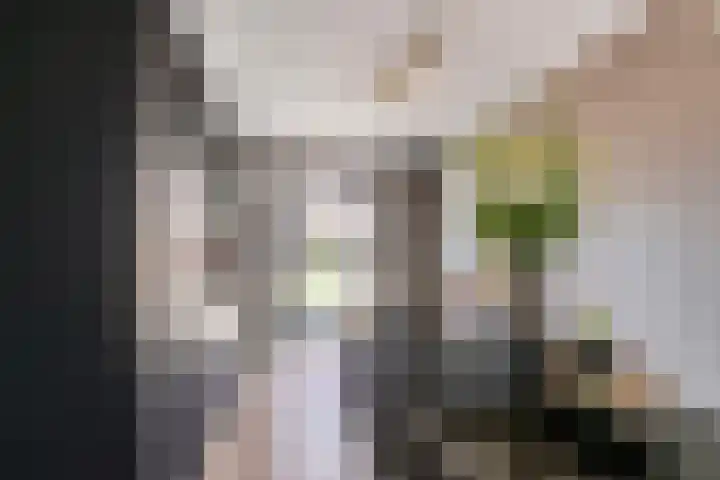 Titanium 4 Arnhem thumbnail 16