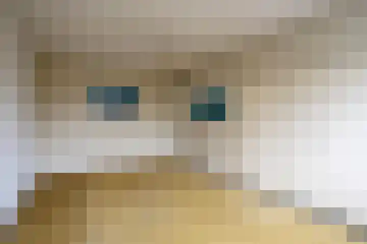 Titanium 4 Arnhem thumbnail 18