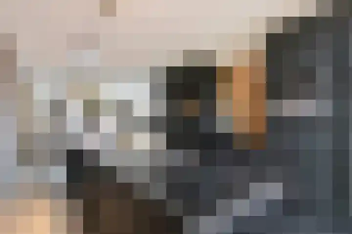 Titanium 4 Arnhem foto 2