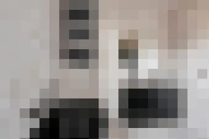 Titanium 4 Arnhem thumbnail 39