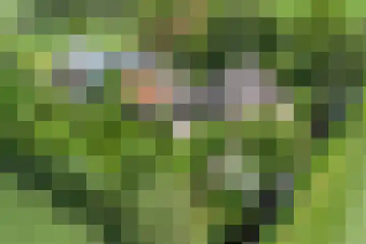 Titanium 4 Arnhem thumbnail 41