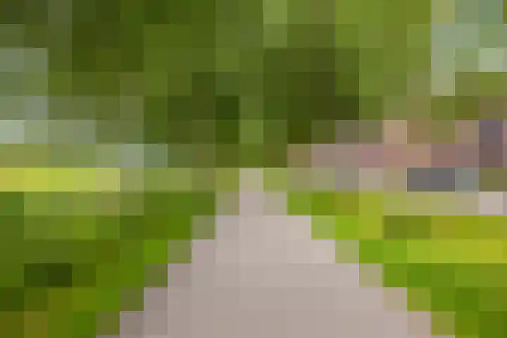 Titanium 4 Arnhem thumbnail 48