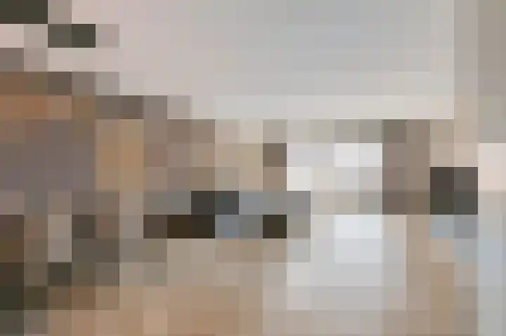 Titanium 4 Arnhem thumbnail 8