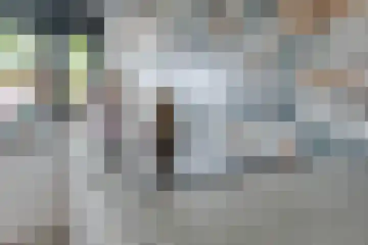Titanium 42 Rhoon thumbnail 10