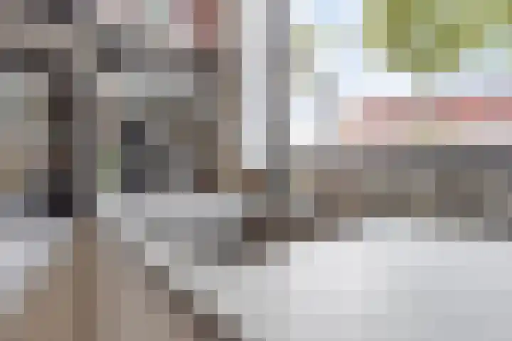 Titanium 42 Rhoon thumbnail 11
