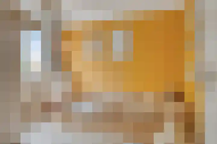 Titanium 42 Rhoon thumbnail 16