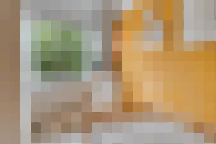 Titanium 42 Rhoon thumbnail 17