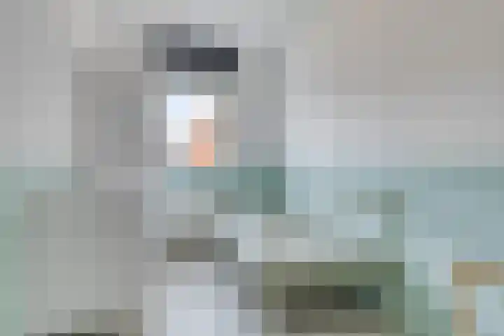 Titanium 42 Rhoon thumbnail 18