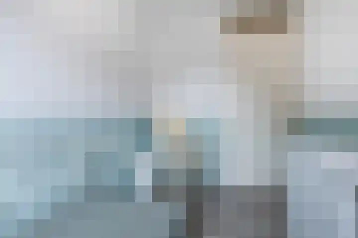 Titanium 42 Rhoon thumbnail 19