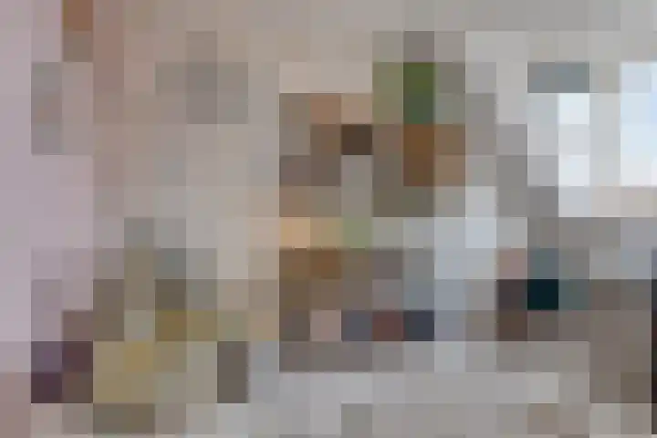 Titanium 42 Rhoon thumbnail 20