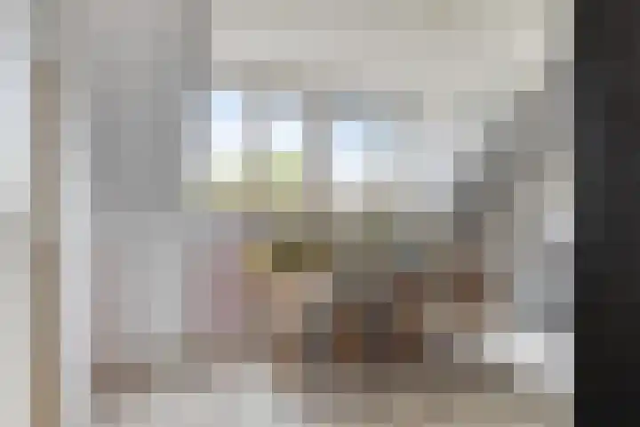 Titanium 42 Rhoon thumbnail 22