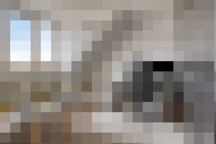 Titanium 42 Rhoon thumbnail 23