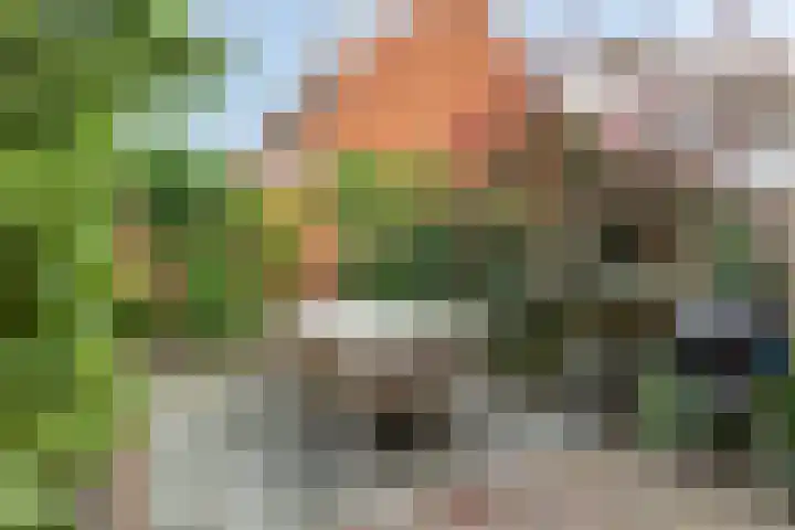 Titanium 42 Rhoon thumbnail 29
