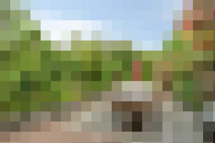 Titanium 42 Rhoon thumbnail 30