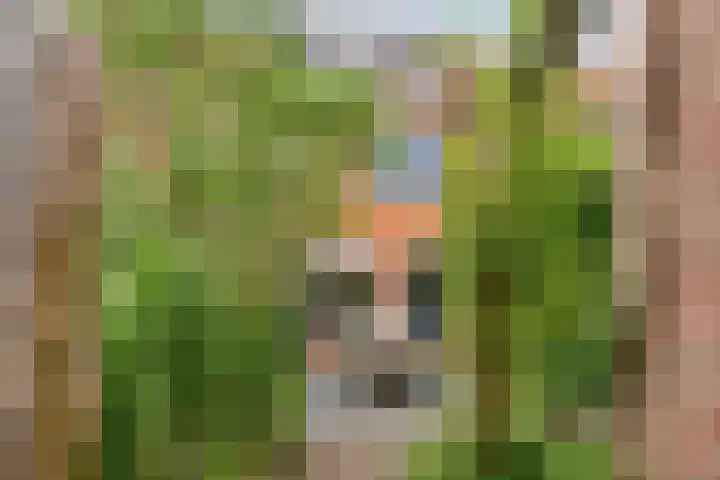 Titanium 42 Rhoon thumbnail 32