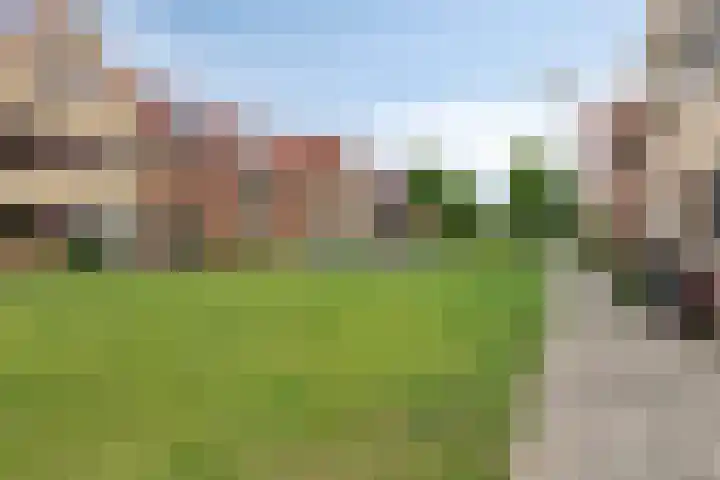 Titanium 42 Rhoon thumbnail 34