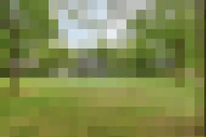 Titanium 42 Rhoon thumbnail 35