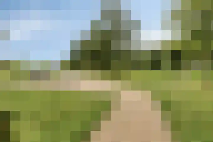 Titanium 42 Rhoon thumbnail 36