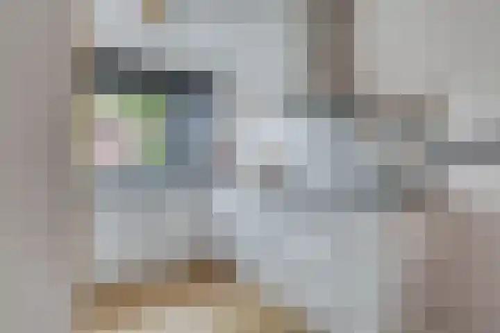 Titanium 42 Rhoon thumbnail 8