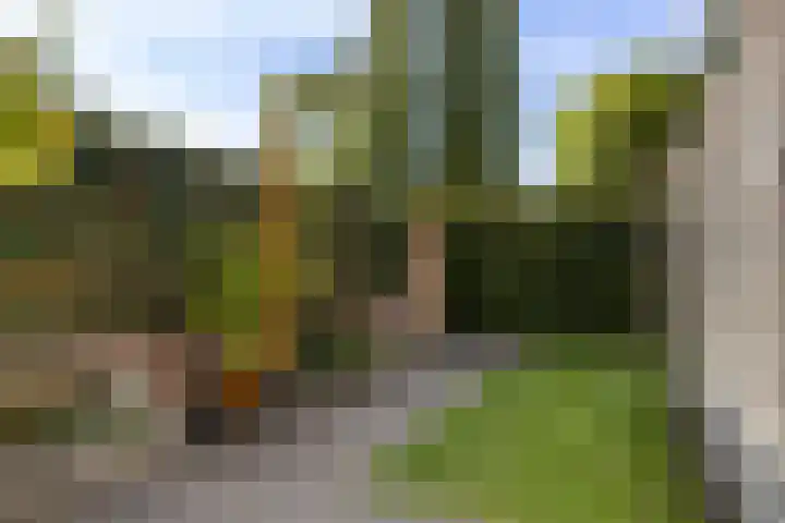 Titaniumstraat 3 Apeldoorn thumbnail 18