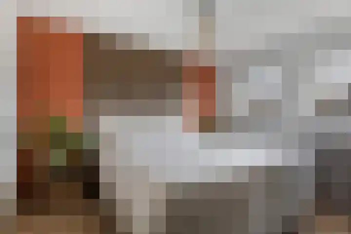 Titaniumstraat 3 Apeldoorn thumbnail 22