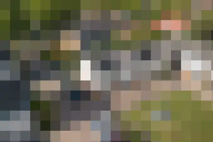 Titaniumstraat 3 Apeldoorn thumbnail 32