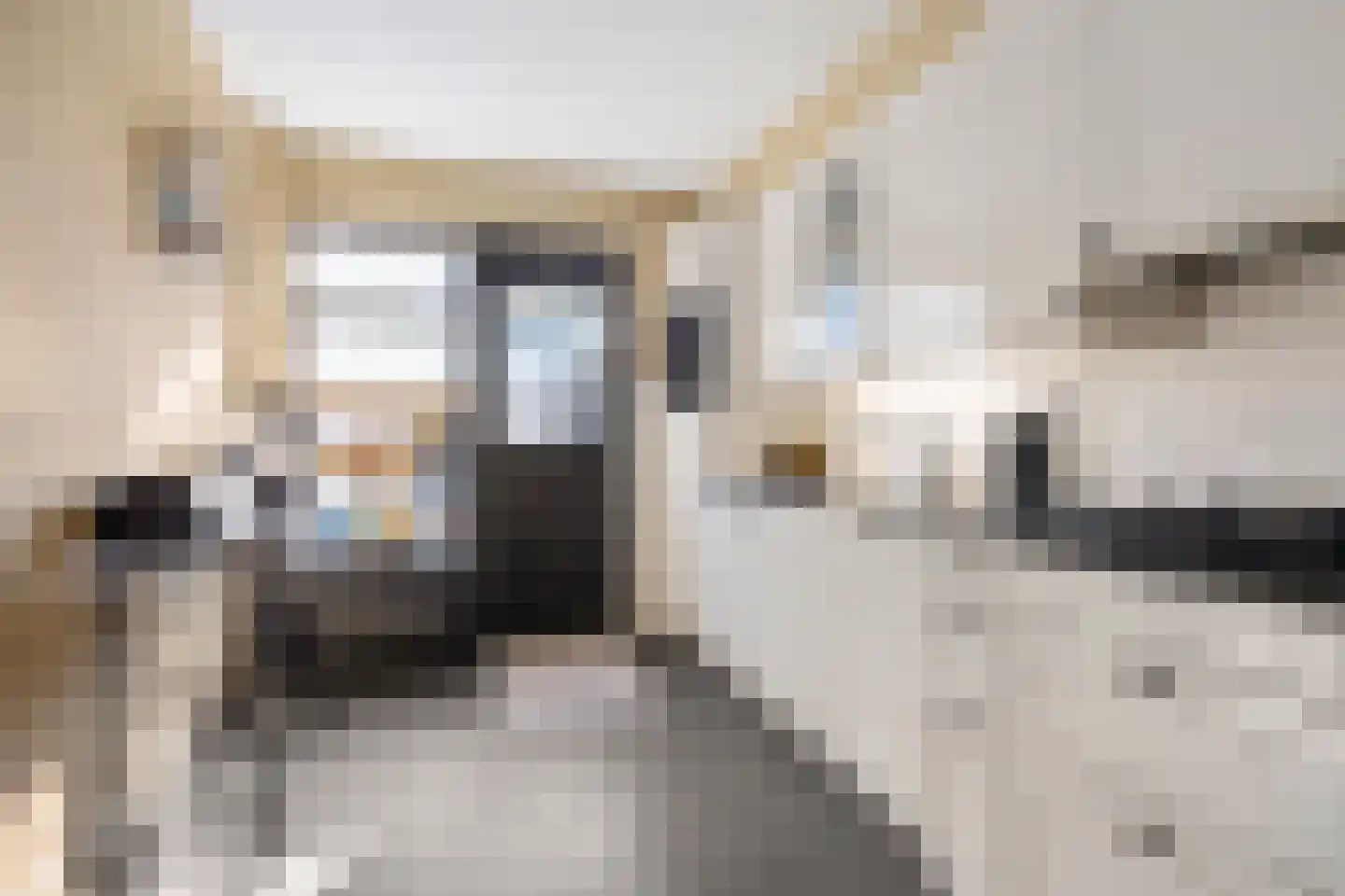 Titanstraat 6 Oude Pekela thumbnail 17