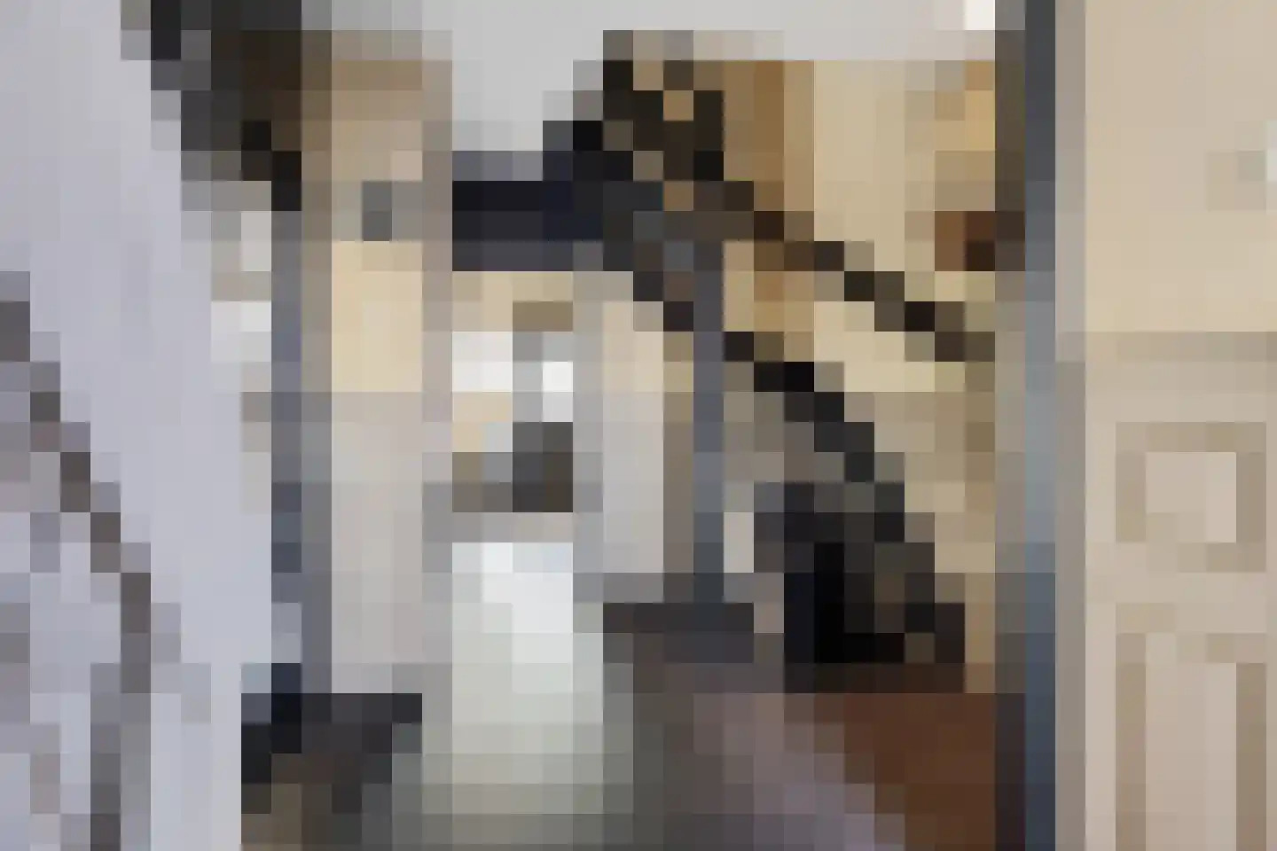 Titanstraat 6 Oude Pekela thumbnail 9