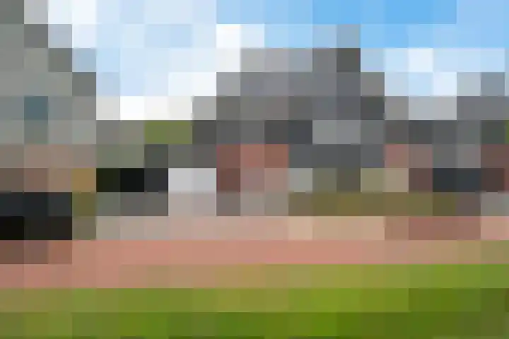 Titelroas 42 a Boornbergum thumbnail 11